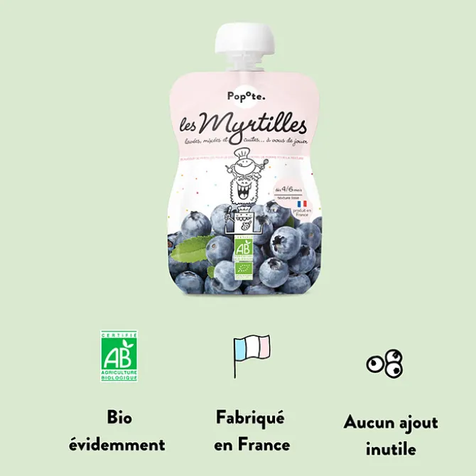Popote Gourde Repas Bio Myrtilles - 120 g