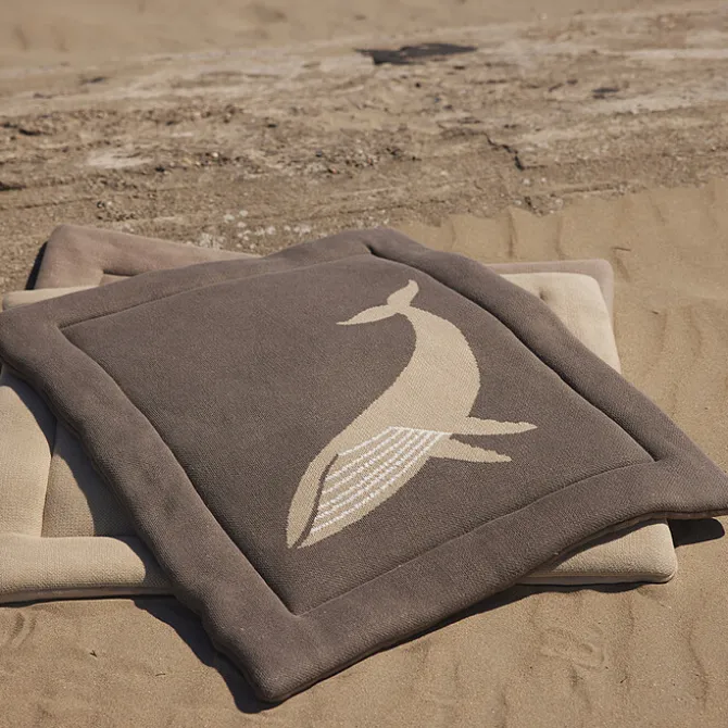 Quax Fond de Parc Tricot - Baleine