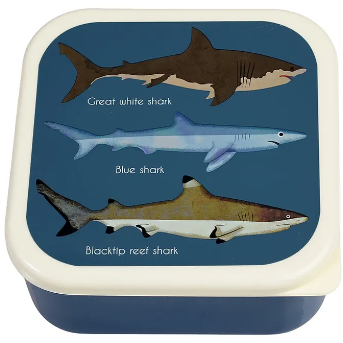 Rex London Lot de 3 Boîtes - Requins