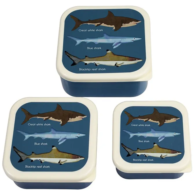 Rex London Lot de 3 Boîtes - Requins