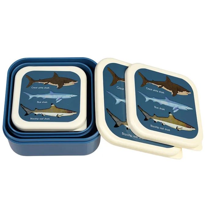 Rex London Lot de 3 Boîtes - Requins