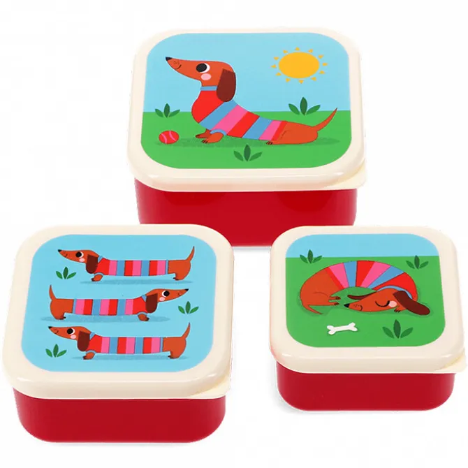 Rex London Lot de 3 Boîtes - Sausage Dog