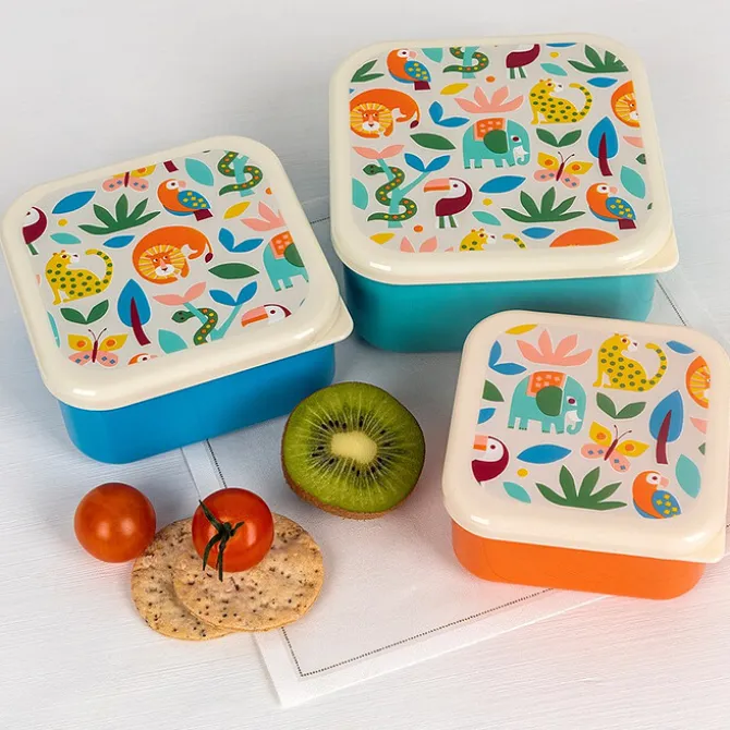 Rex London Lot de 3 Boîtes - Wild Wonders
