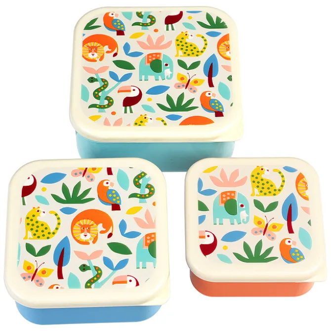Rex London Lot de 3 Boîtes - Wild Wonders