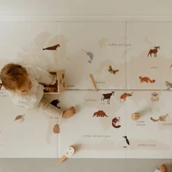 Tapilou Tapis de Jeu Réversible Tapilou x BABYATOUTPRIX - Carte du Monde / Dinosaures