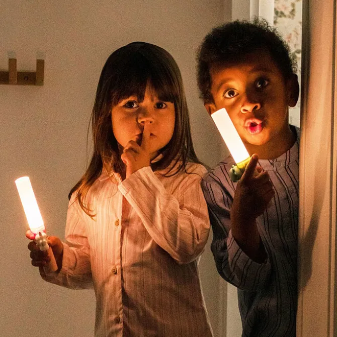The Zoofamily Lampe Torche Zoo Light - Dino