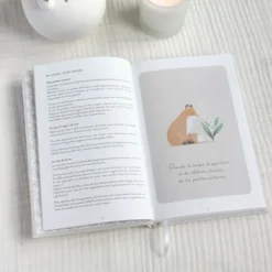 Zü Journal de Gratitude