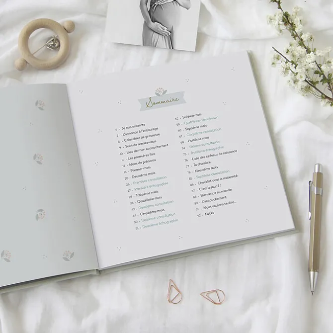 Zü Journal de Grossesse