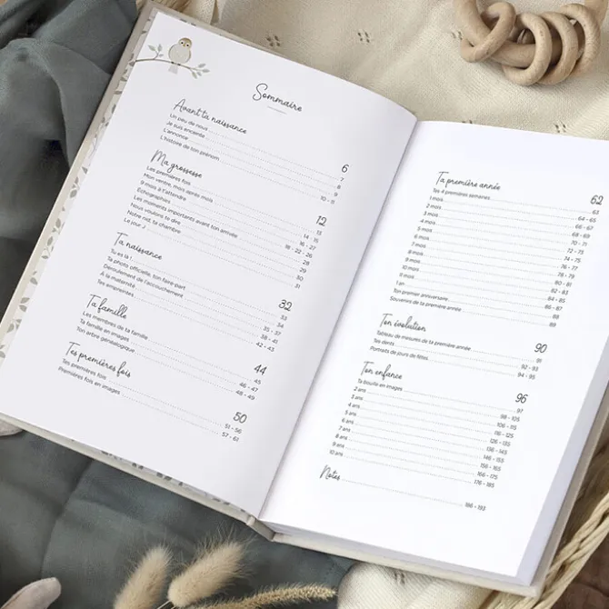 Zü Livre Souvenirs Ton Histoire Tes 10 Premières Années - Grège