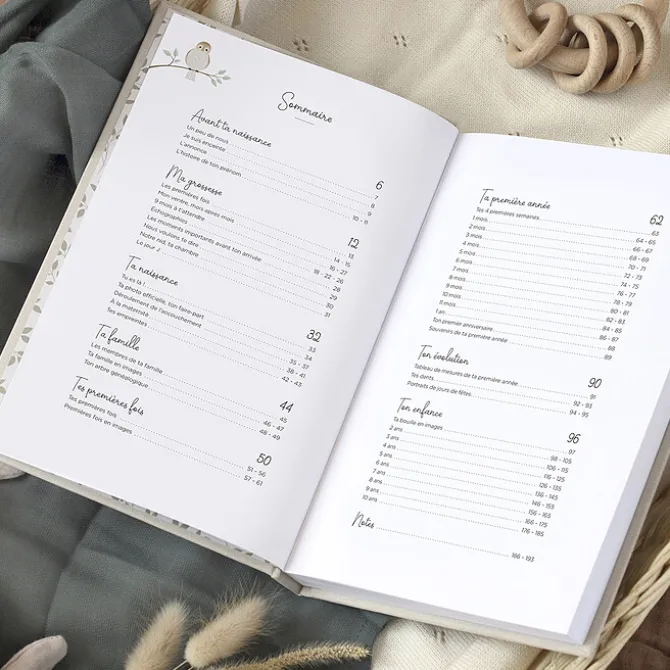 Zü Livre Souvenirs Ton Histoire Tes 10 Premières Années - Céladon
