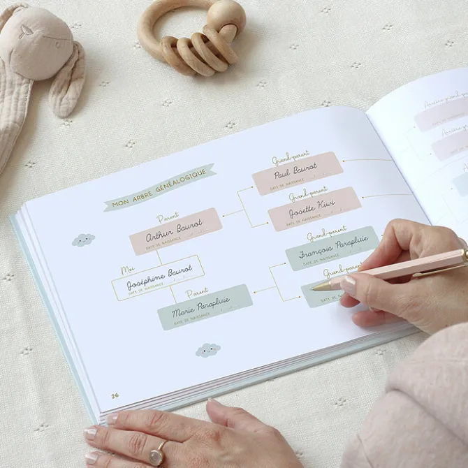 Zü Mon Album de Bébé