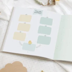 Zü Mon Journal de Bébé Mes 2 Premières Années